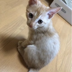可愛い女の子です♪