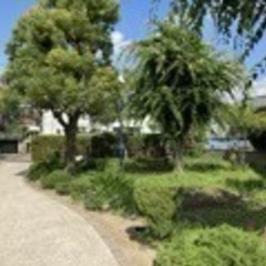 英会話&国際文化交流サークル