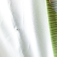 【ニトリ ドレープカーテン（タッセル付き）】の画像