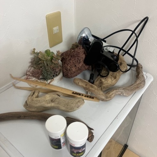 ?爬虫類飼育セット?