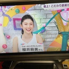 無料　液晶テレビ｢ＡＱＵＯＳ｣37型