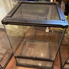レインフォレストタンクS