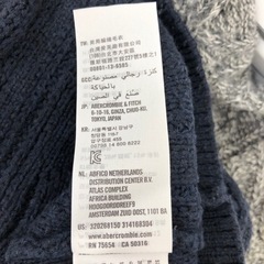 【HOLLISTER】ホリスター　Lサイズの画像