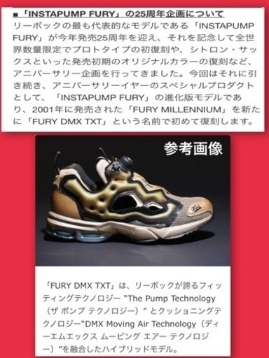 ☆断捨離激安☆超美品☆25周年記念復刻版　インスタポンプフューリーDMX