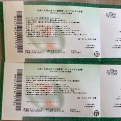 九州一大花火まつり観覧席(ロッテルダム会場)のチケット2枚