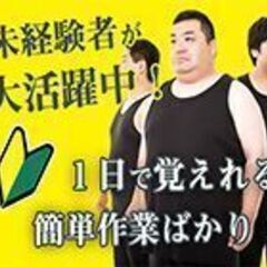 お金の余裕は心の余裕(´ω｀) ≪3ヵ月で120万以上稼げるお仕事≫ ここらでガッツリ稼いで収入もメンタルも安定させとく？TE2807-01の画像
