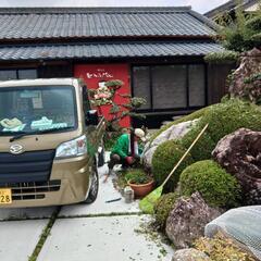 安芸市でも活躍中！庭木剪定サービス千樹園です！年中無休にて営業中！お困りごとはぜひ千樹園迄お願い致します！まずは無料見積りお伺い致します！剪定、草刈り、伐採、お墓掃除、他お気軽にお問い合わせください。TEL08056636000迄　 - 地元のお店