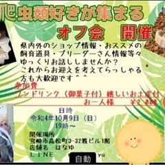 爬虫類好きな人集まれ！