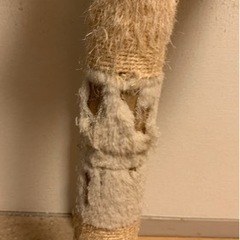 【劣化アリのキャットタワー】の画像