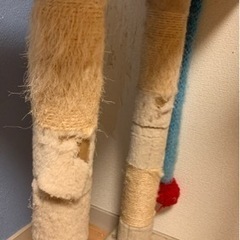 【劣化アリのキャットタワー】の画像