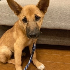 岡山市保健所★急募！どうかどうかお願いします！