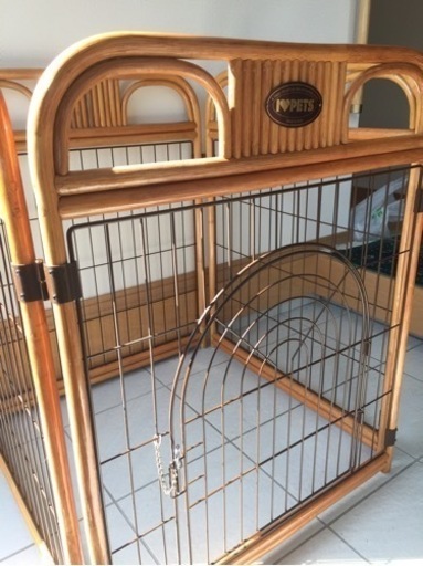 犬サークル