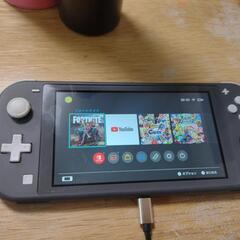 スイッチライト　不具合あり