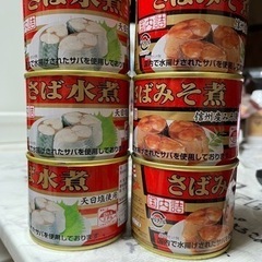 サバ缶✖️6