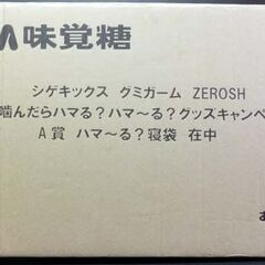★非売品 嵐 寝袋★当選品 UHA味覚糖 A賞ハマ～る? 相葉 新品 輸送箱付き 限定品の画像