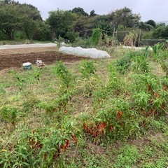 農活メンバー募集