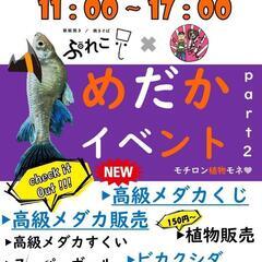 めだかイベント