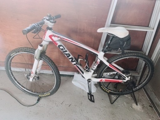 連休中に引き取り可能な方のみで掲載終わりにします