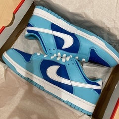 Nike Dunk Low Retro QS "Argon" (2022) dunk アルゴン　26.5