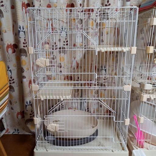 【お話中】キャットタワー