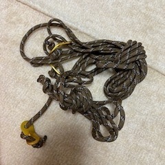 DDタープ3×3サンセットオレンジオマケ付きの画像