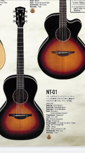 History NT01 アコースティックギターオール単板ギブソンlg1風