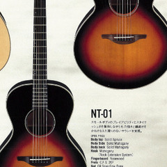 History NT01 アコースティックギター　オール単板　ギブソンlg1風ギターの画像