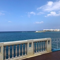 カフェ巡りや呑み会仲間♪