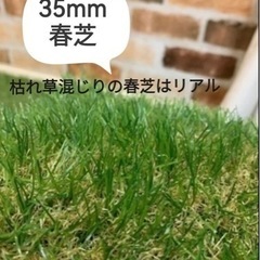 【未使用】35mm人工芝（春芝）
