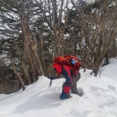 登山仲間募集