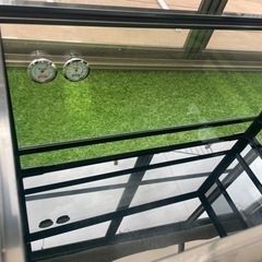 決まりました！爬虫類　フルセット　パンテオン　BK6035 ケージ　レプティワイルドの画像