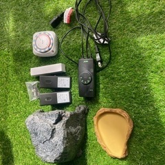 決まりました！爬虫類　フルセット　パンテオン　BK6035 ケージ　レプティワイルドの画像