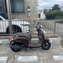 【原付】ホンダのジョルノ(走行距離8500km)