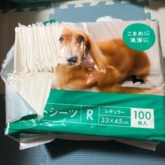 ペットシーツレギュラーとペットオムツ色々