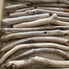 長崎海岸採集 天然流木まとめ売り 20本 ハンドメイドにの画像