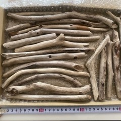 長崎海岸採集 天然流木まとめ売り 20本 ハンドメイドにの画像