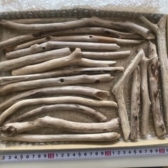 長崎海岸採集 天然流木まとめ売り 20本 ハンドメイドにの画像