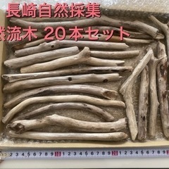 長崎海岸採集 天然流木まとめ売り 20本 ハンドメイドに