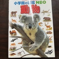 【値下げ】小学館　図鑑ネオ　動物