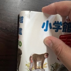 【値下げ】小学館　図鑑ネオ　動物の画像