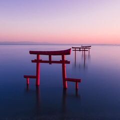 釣り友