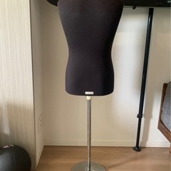 メンズトルソーの画像