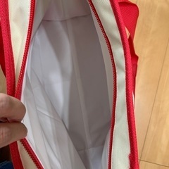 ロピア【大容量】保冷バッグの画像