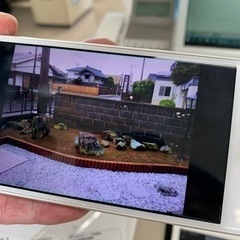 庭石あげます