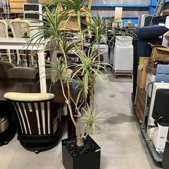エミリオ・ロバ 観葉植物 造花 ユッカ プランター付き イトキン...