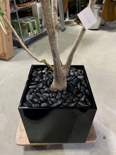 エミリオ・ロバ 観葉植物 造花 ユッカ プランター付き イトキン オシャレギフト 