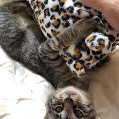  人大好き♡