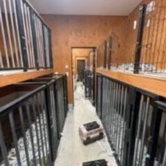 ブリーダ業の動物舎掃除等のお仕事です。　動物好きな方にお願いしたいです。の画像