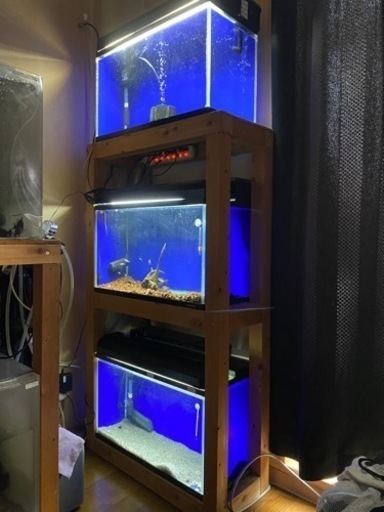 ニッソー 60cmガラス水槽フルセット×3台 特注水槽台付