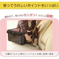 犬用ドライブボックスの画像